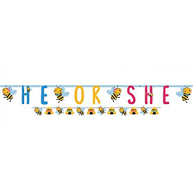 Διακοσμητικά Gender Reveal