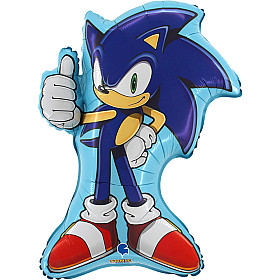Sonic the hedgehog (8)