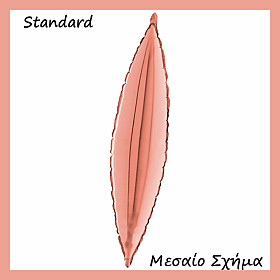 Standard (3)