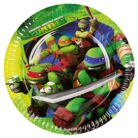 Teenage Mutant Ninja (2)