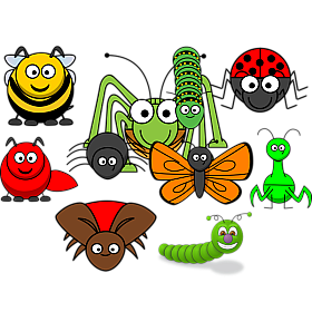 Insects (21)