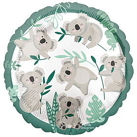 Koala (6)