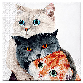 Miaou Cat (8)