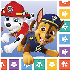 ΧΑΡΤΟΠΕΤΣΕΤΕΣ ΜΕΓΑΛΕΣ PAW PATROL ΠΟΛΥΧΡΩΜΑ ΠΑΤΟΥΣΑΚΙΑ 16TMX