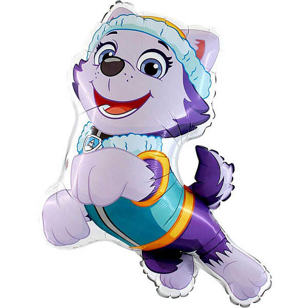 FOIL Mini/S 14'' PAW PATROL - EVEREST