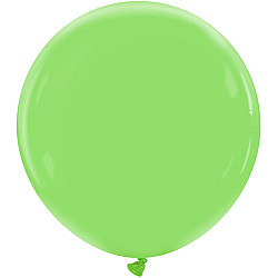 LATEX STANDARD 19'' ΛΑΧΑΝΙ 1ΤΕΜ