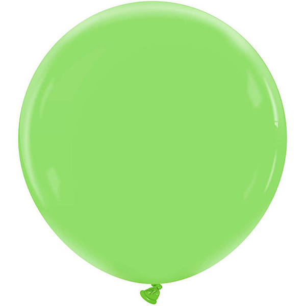 LATEX STANDARD 19'' ΛΑΧΑΝΙ 1ΤΕΜ