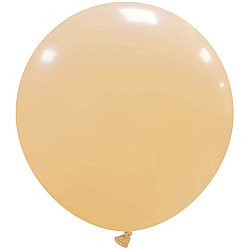 LATEX STANDARD 19'' ΜΠΕΖ 1TEM