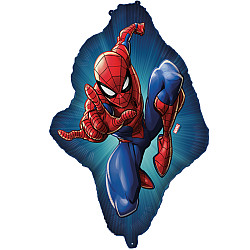 FOIL S/S SPIDERMAN
